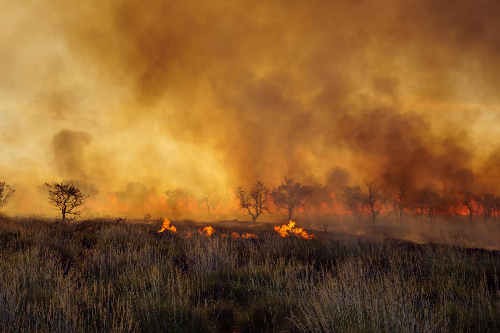 2020 Global Extremes: A Year in Review - Part 1