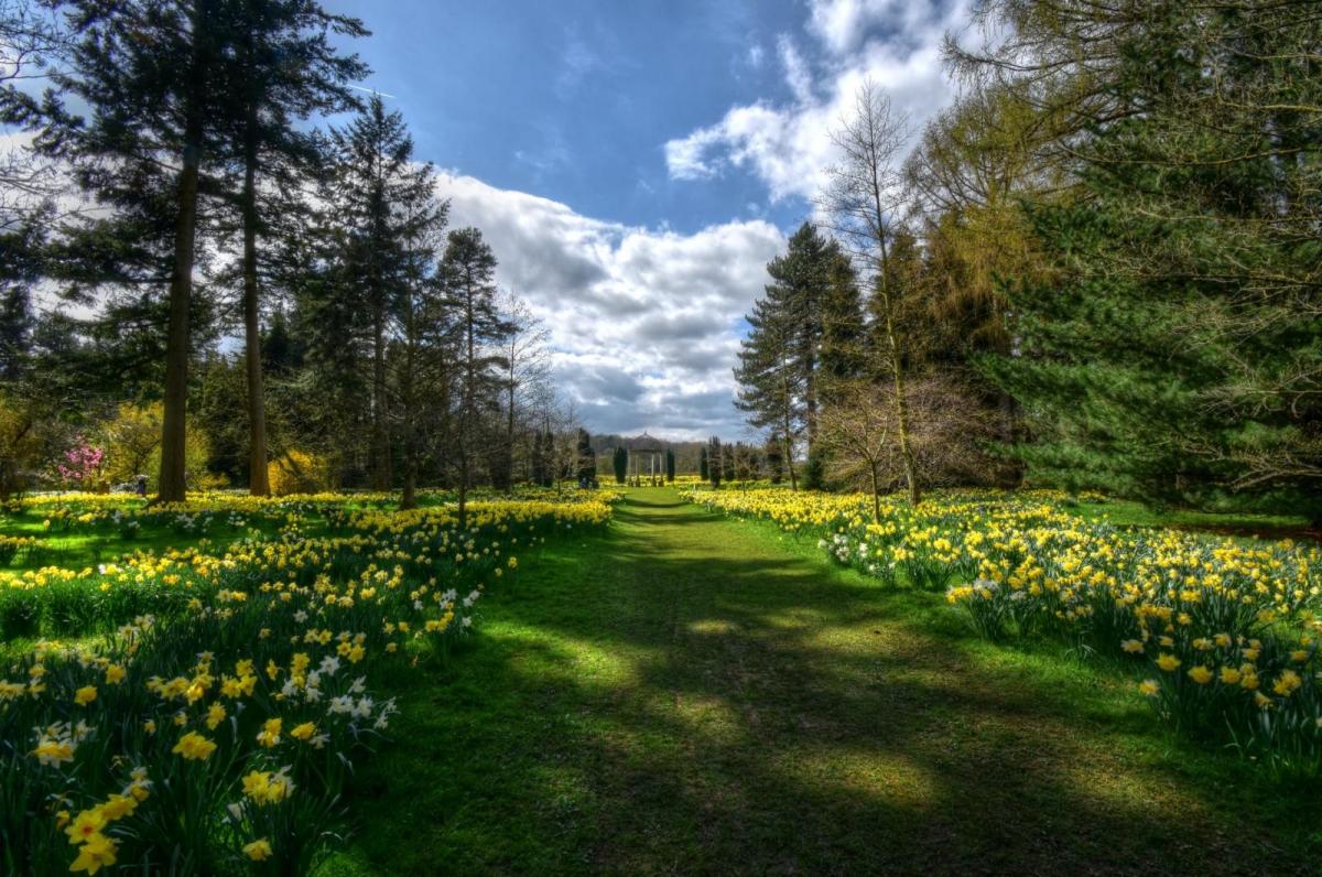 Heading Into Spring: Your Monthly Gardening Guide for March