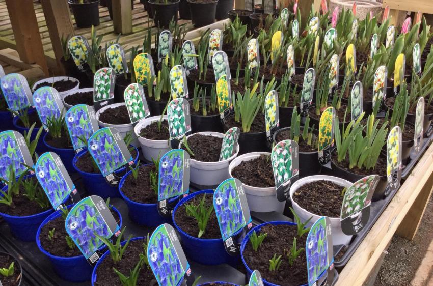 Paisley Weather Forecast for the next 7 Days Netweather