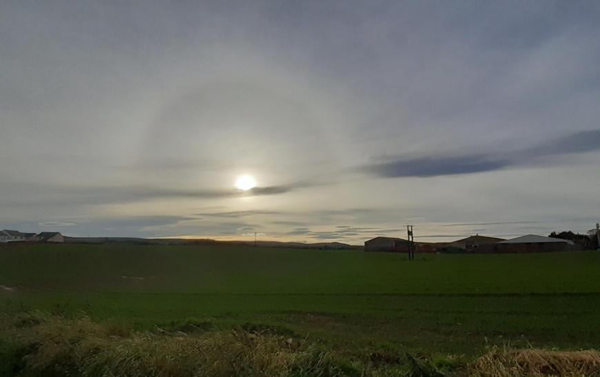 Halo on cirrostratus cloud