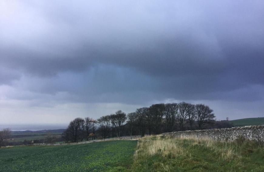 NImbostratus rain bearing clouds