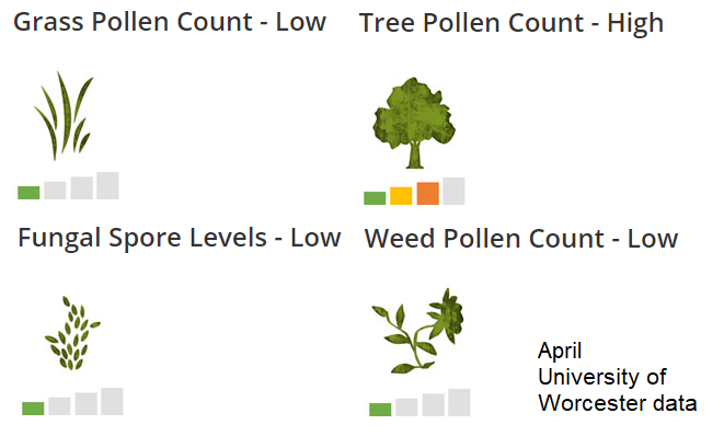 Different types of pollen UK