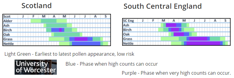 Tree and grass pollen calendar