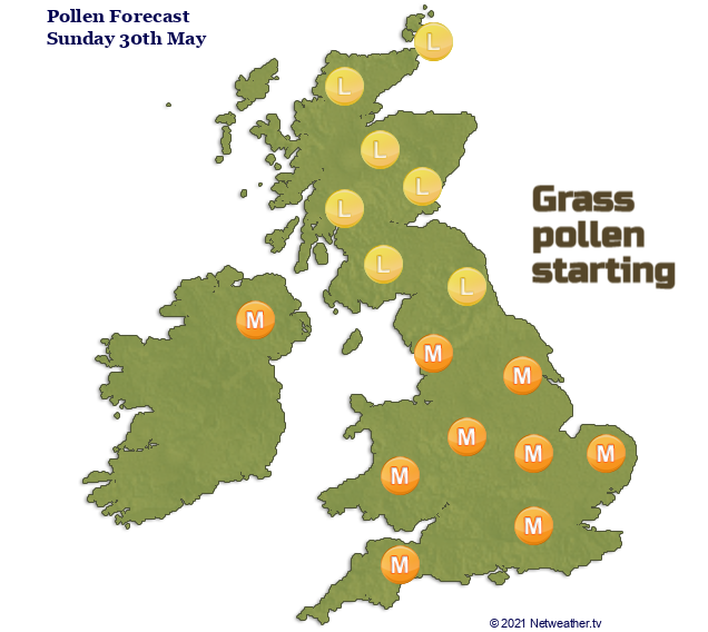 GRass pollen UK