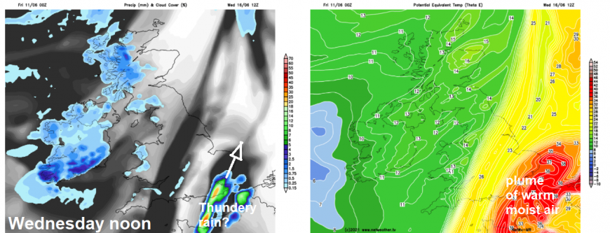 Netwx-MR model for Wednesday