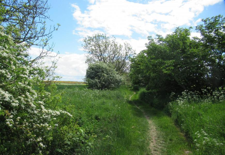 John muir Way
