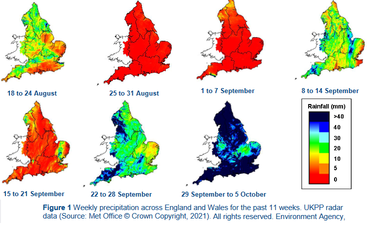 Environment Agency rainfall data 2021