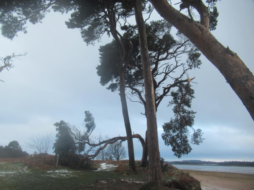 John Muir country park