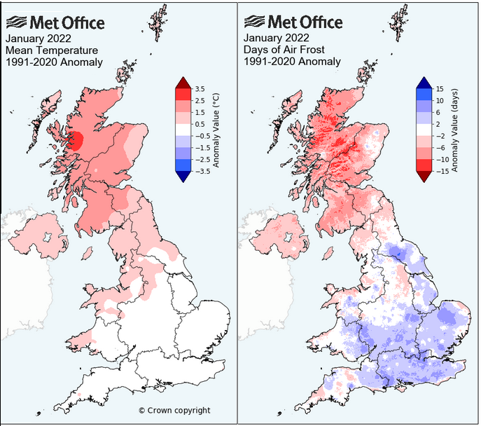 Mild January 2022 with plenty of frosts in south