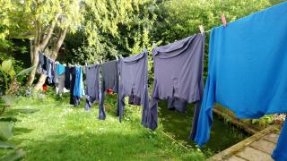 Should I hang the washing out?  Weather tips for laundry and energy saving