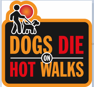 Dogs die on hot walks