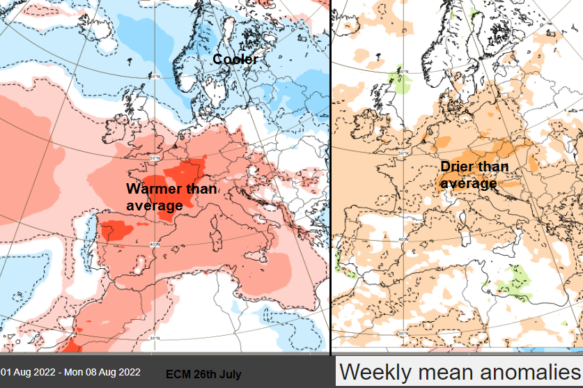 ECMWF trend forecast for first week August 2022