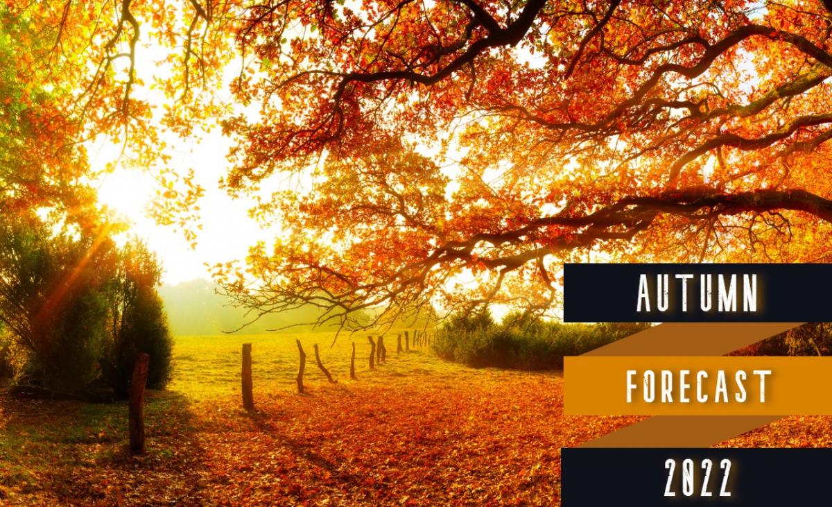 Long Range Autumn Forecast 2022