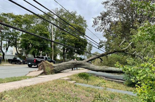 Hurricane Fiona Nova SCotia power cables