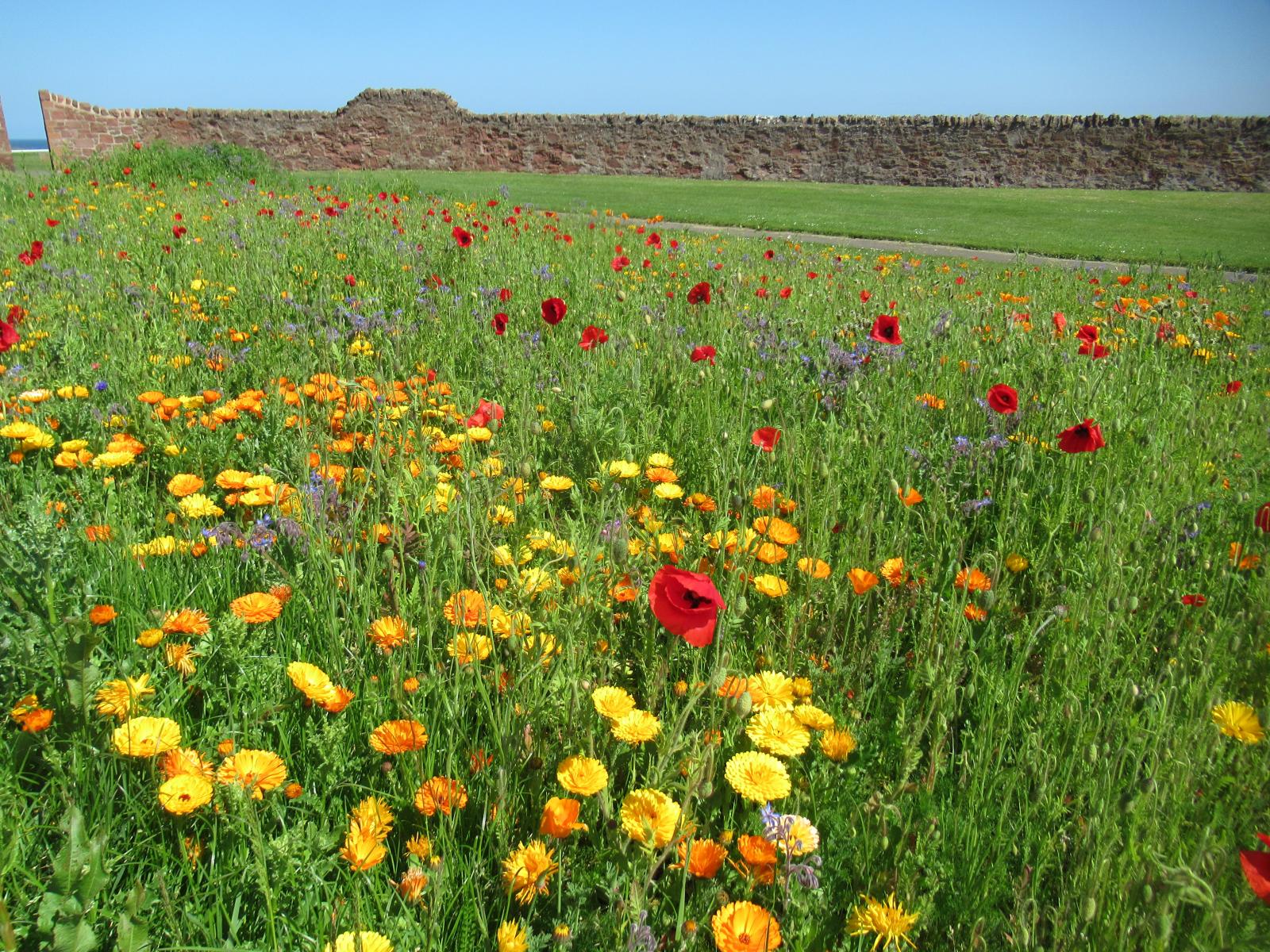 Eastern Chill Meets Western Warmth: UK Weather Divergence Continues Under High Pressure