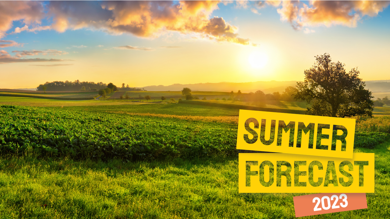 Summer 2023 - read the in-depth forecast