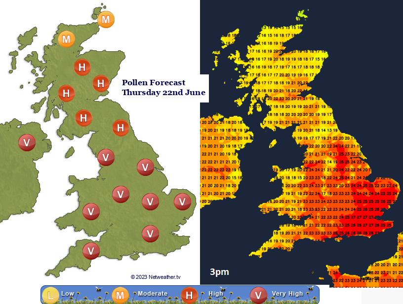 Hayfever woes as the high pollen count continues