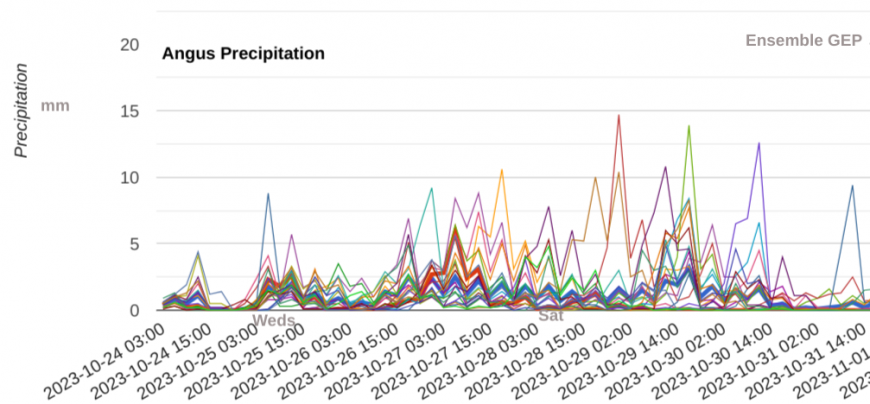 Precipitation ensemble for Angus