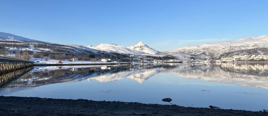 Fjord reflections and snow
