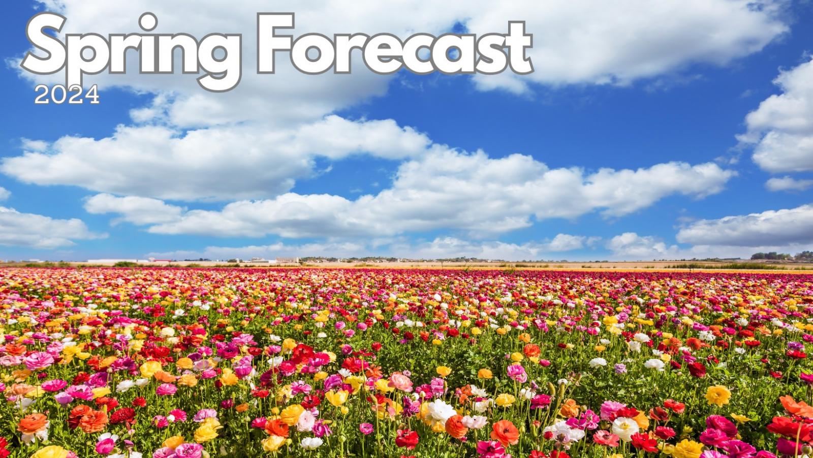 Spring Forecast 2024   Spring2024 Square 