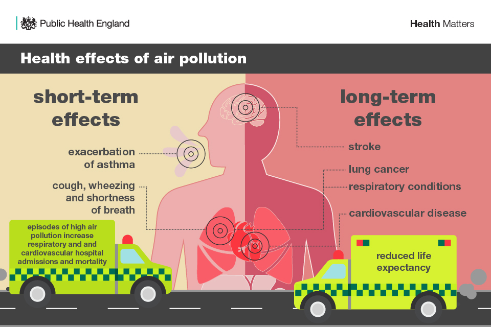 Health impacts from UK air pollution