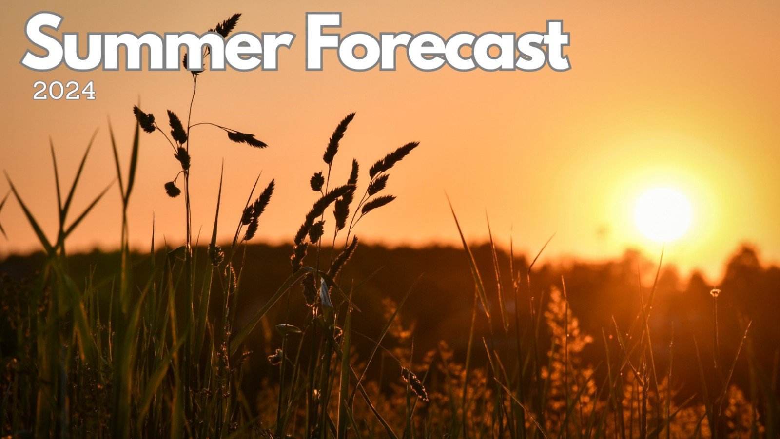 Summer Forecast Issued