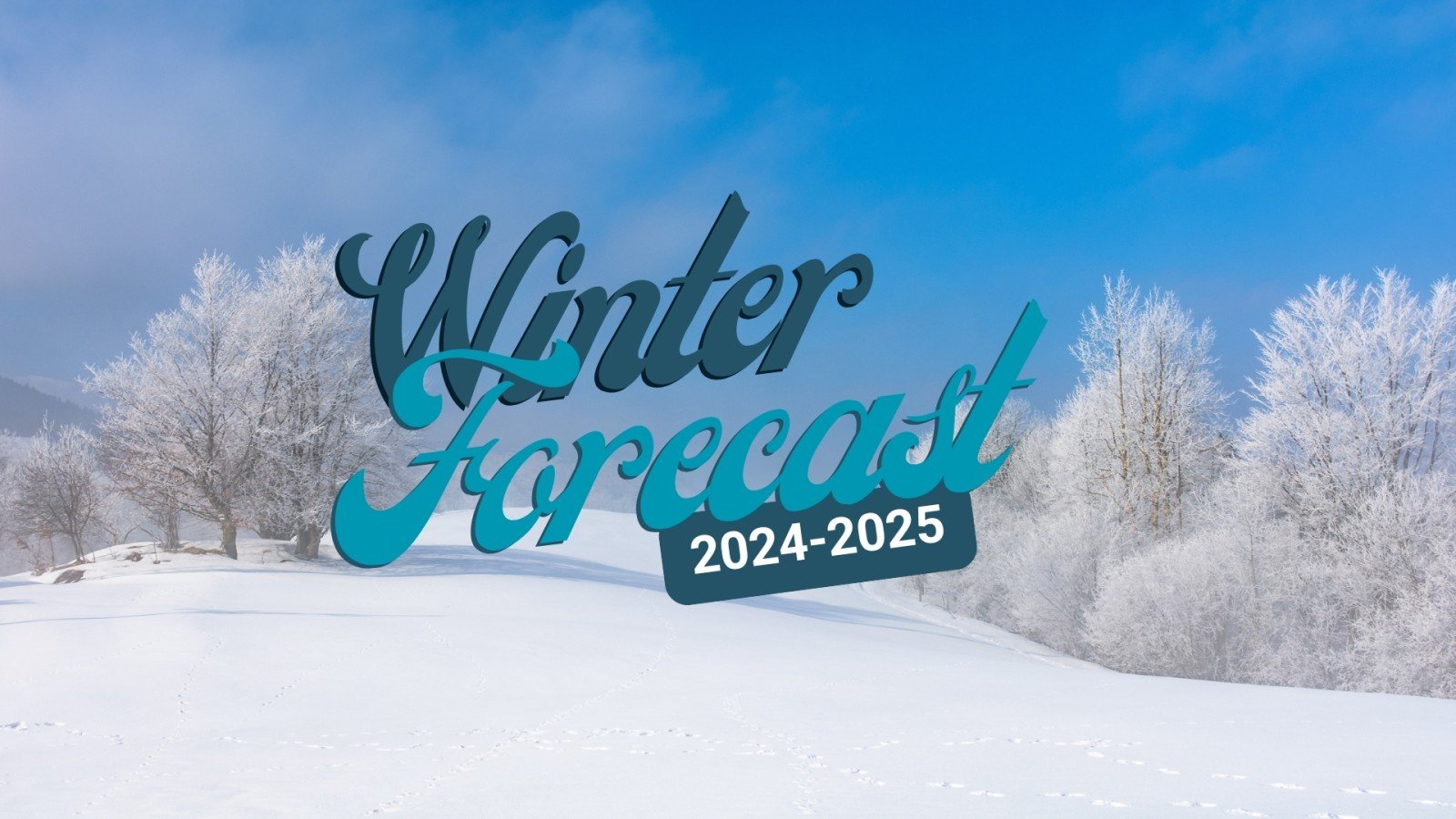 Winter Forecast 2024/2025