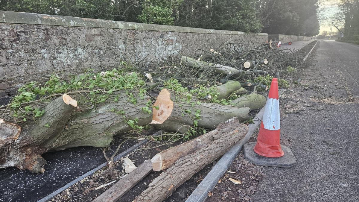 A week after Storm Eowyn, power outages continue