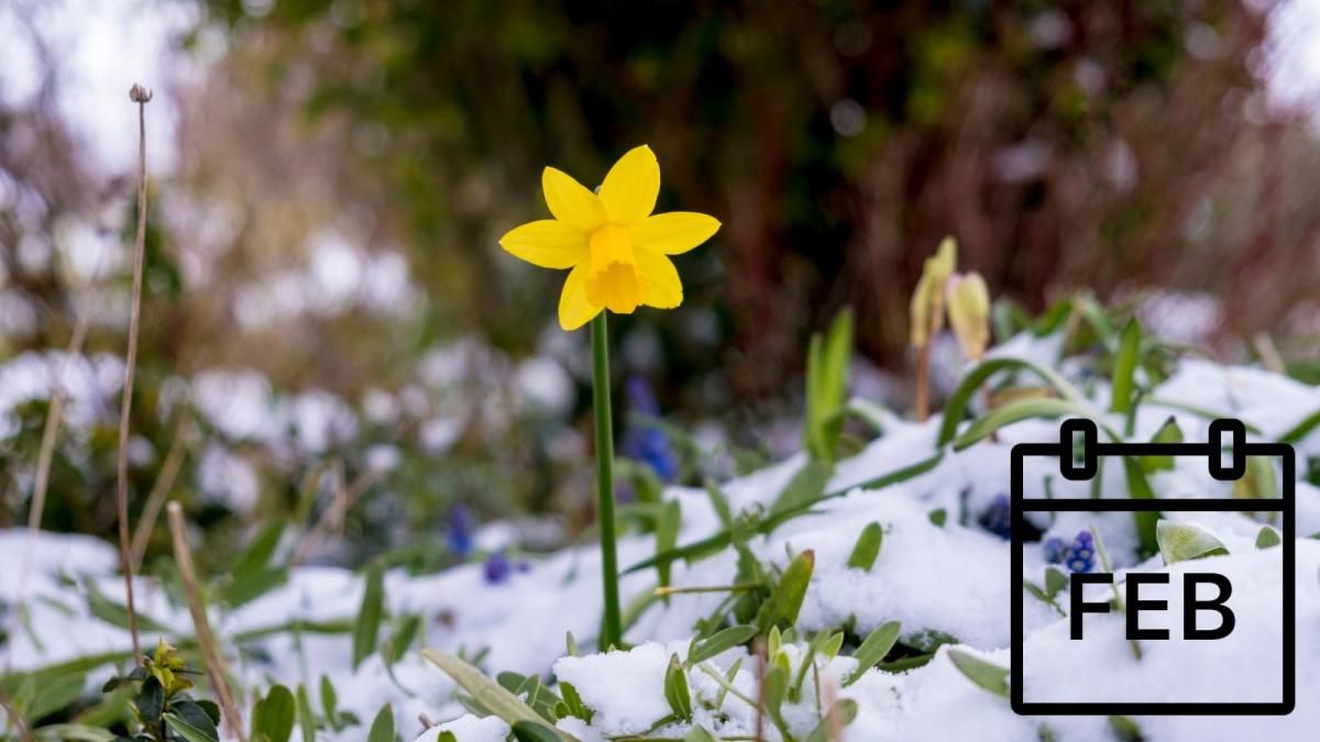 UK February Weather: A look back and a glimpse ahead