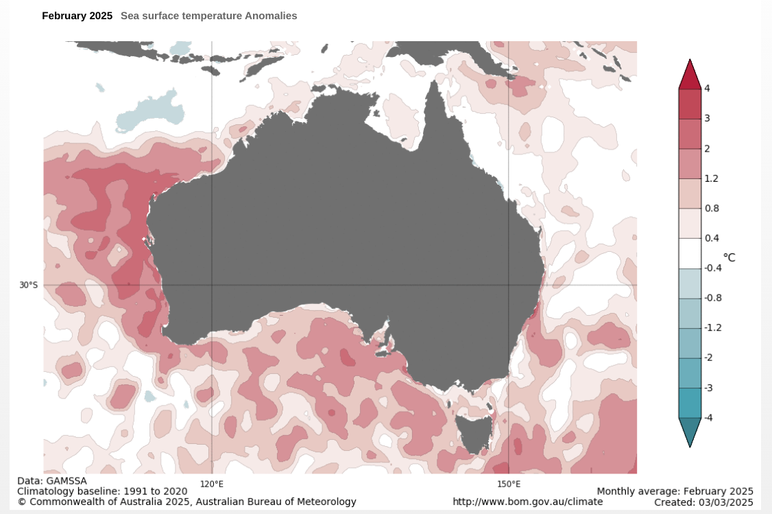 warm SST Coral sea australia