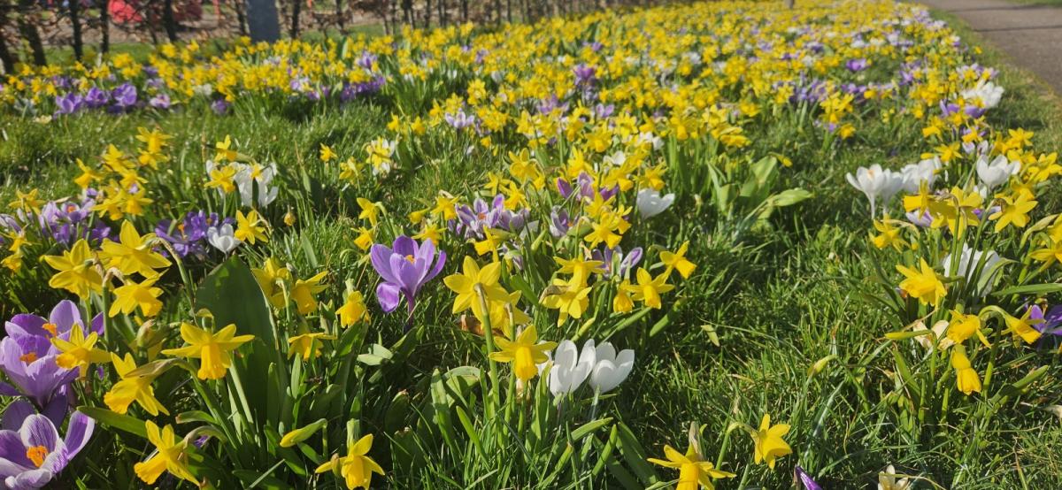 Don't get too carried away with the spring warmth - a change is coming