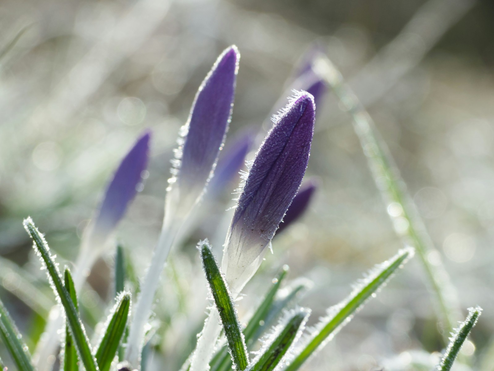Spring warmth to retreat as colder air arrives