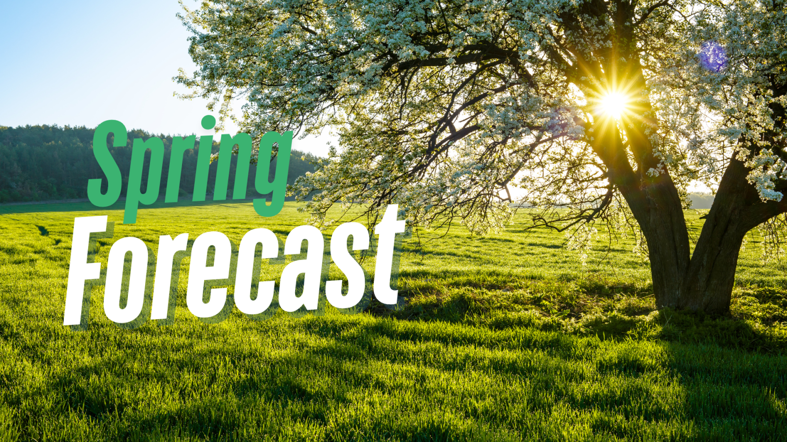 Spring Long Range Forecast