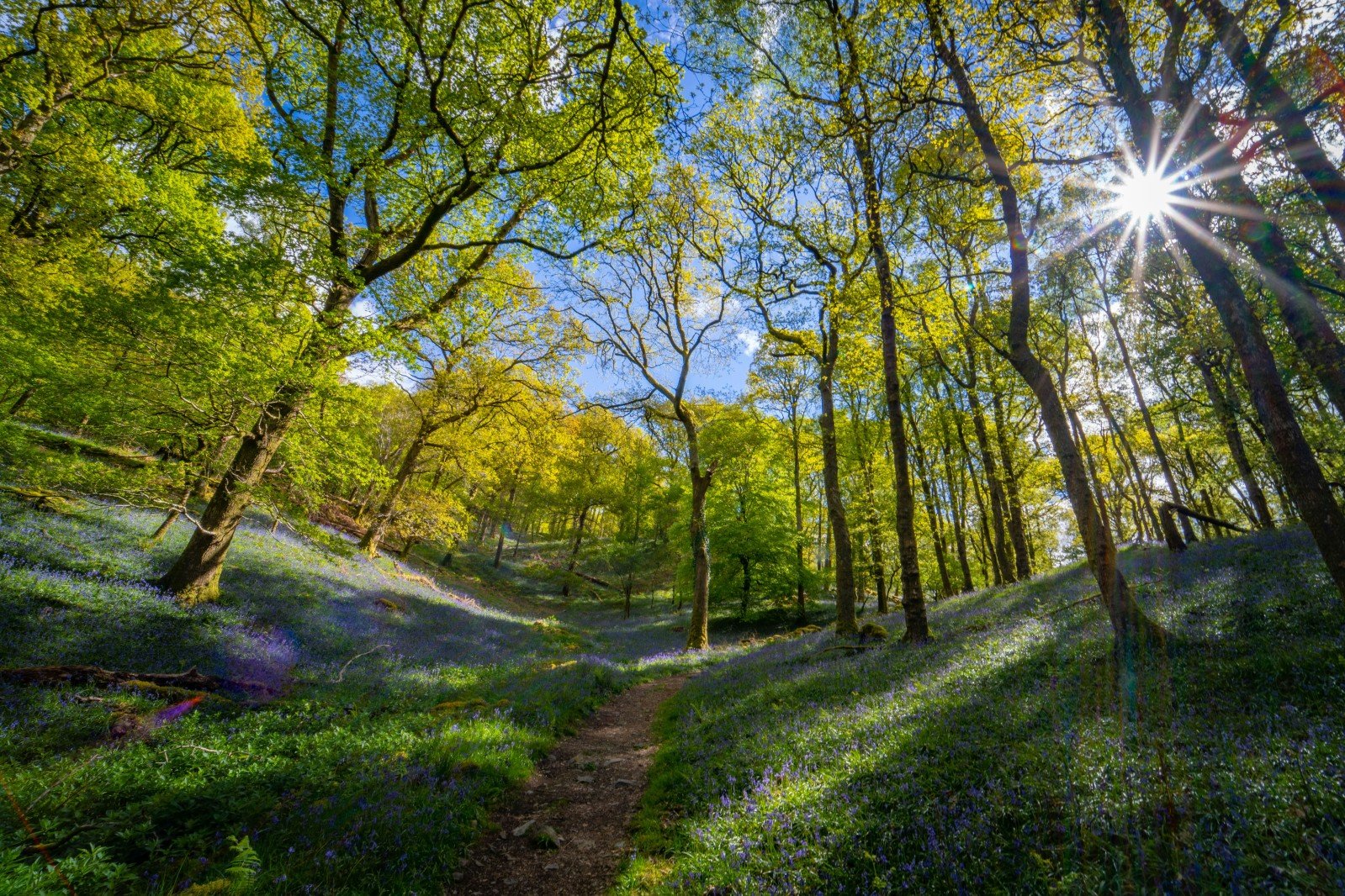 Dry start to Spring set to continue into early April