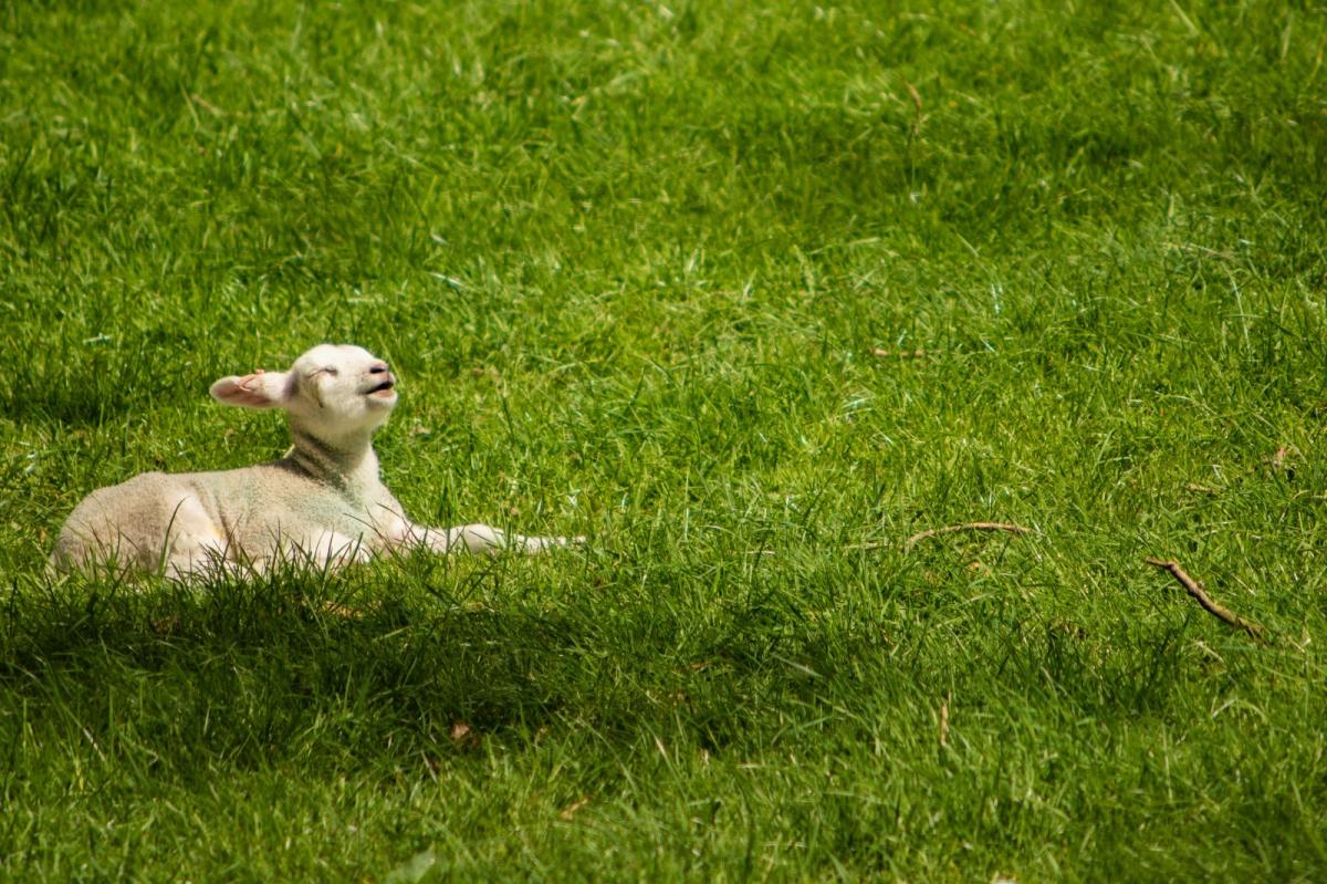 High pressure dominates: Warm West vs Cooler East