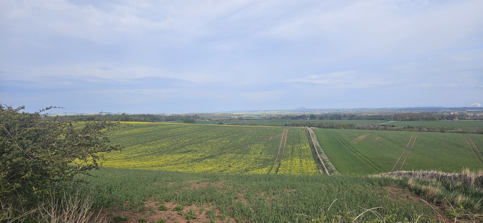Should we be concerned about this year's dry weather?