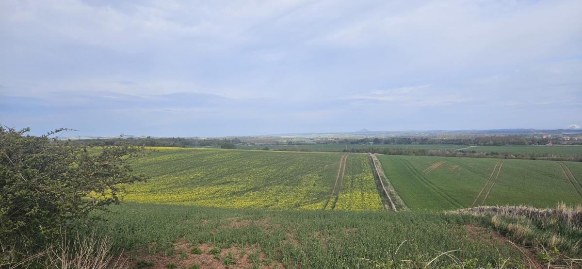 Should we be concerned about this year's dry weather?