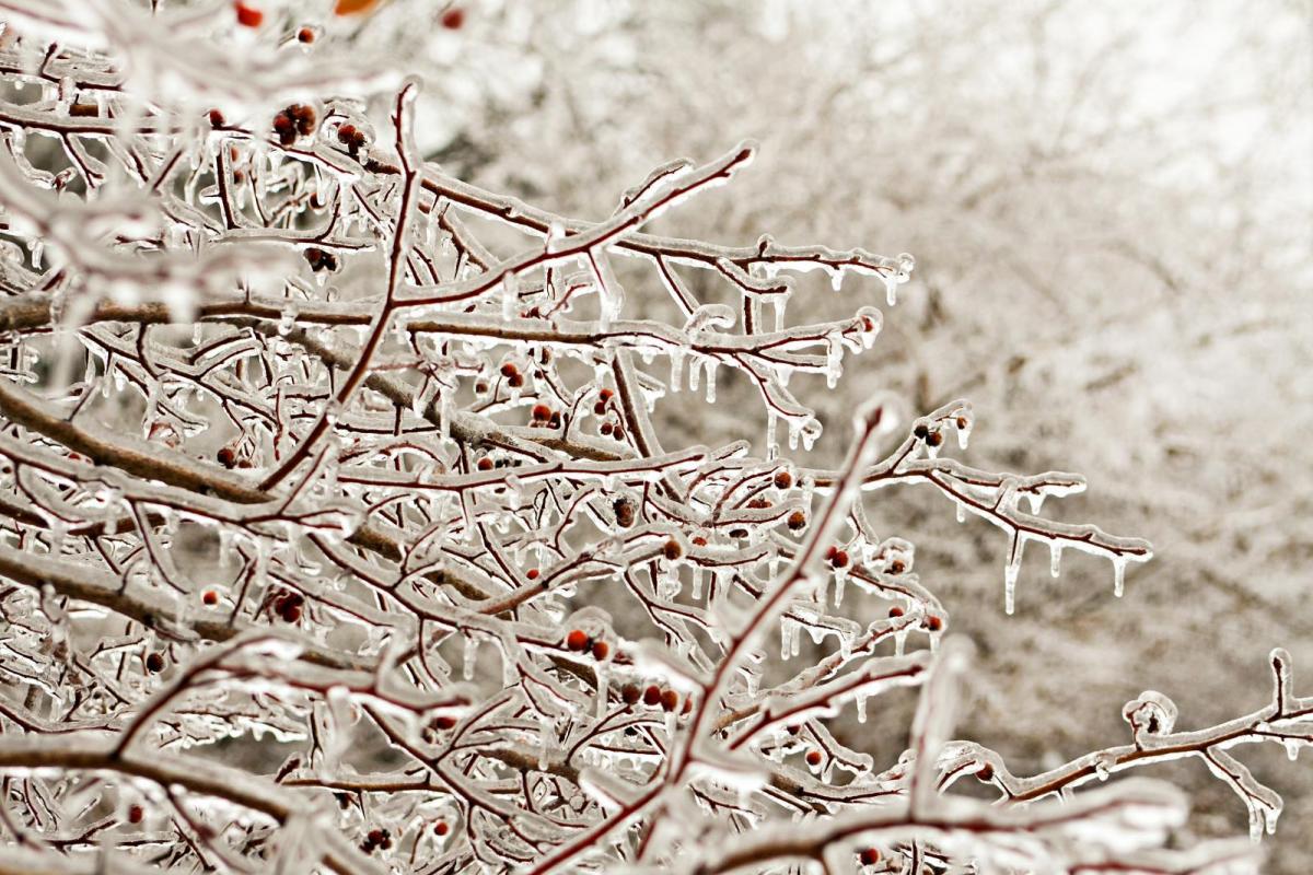 What is Freezing Rain and what is there to worry about? Warnings and Icestorm