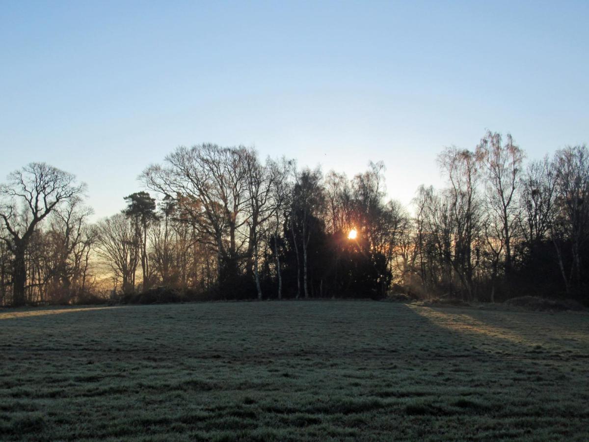 Warmest New Year on record but a cold shock on the way next week