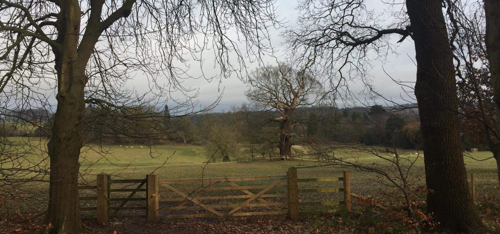 Sunnier skies on the way for the east, cloud and rain for the west