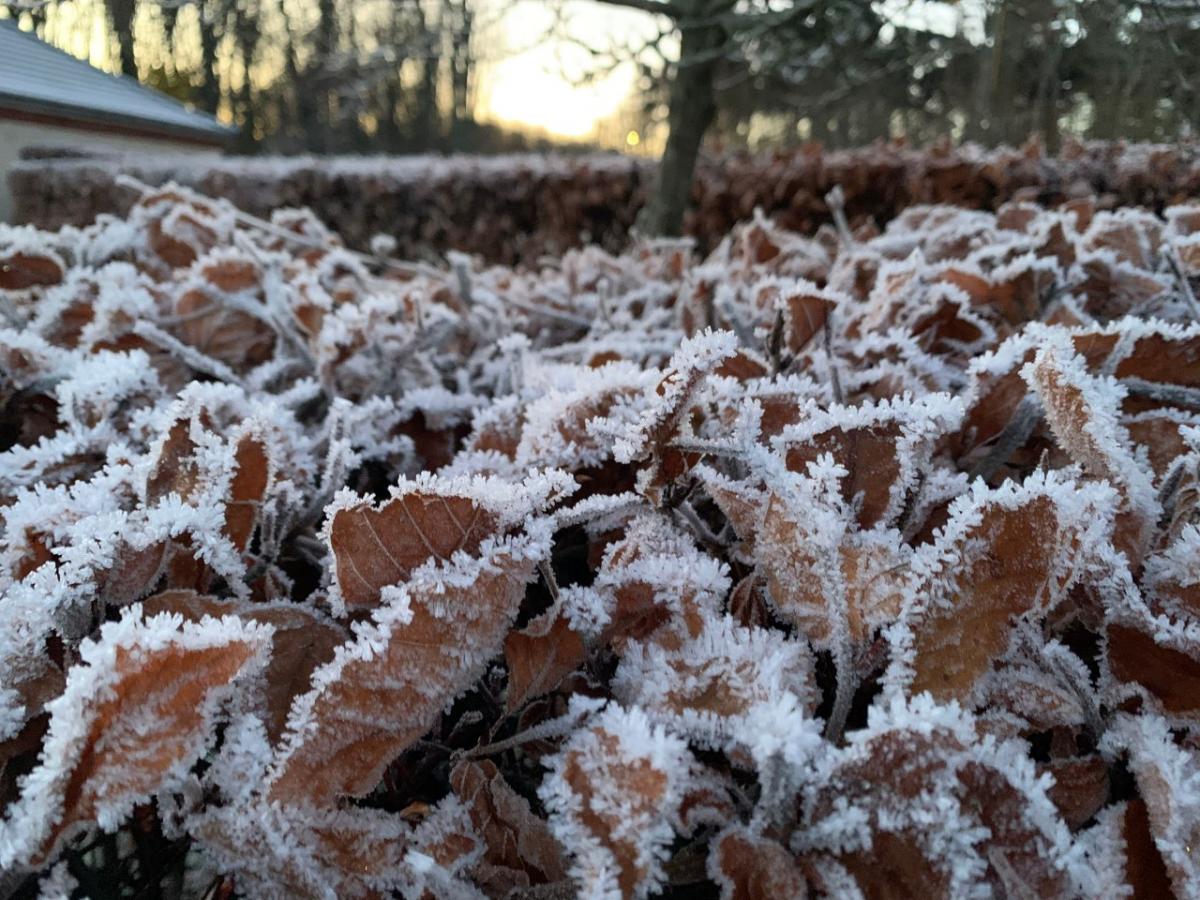 Cold Arctic air for the week ahead