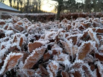 Cold Arctic air for the week ahead