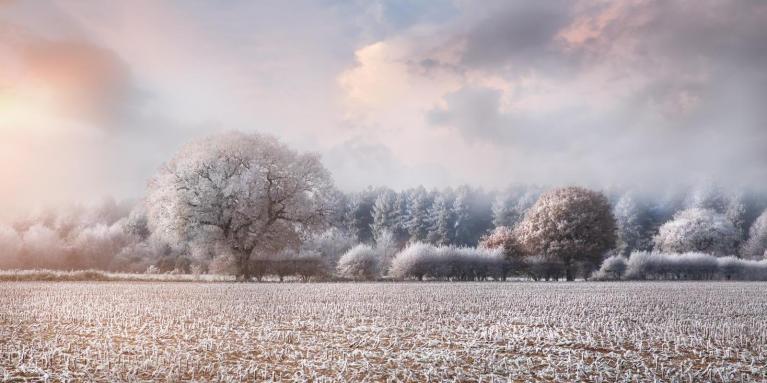 An early look at what may lie ahead for winter 2025-26