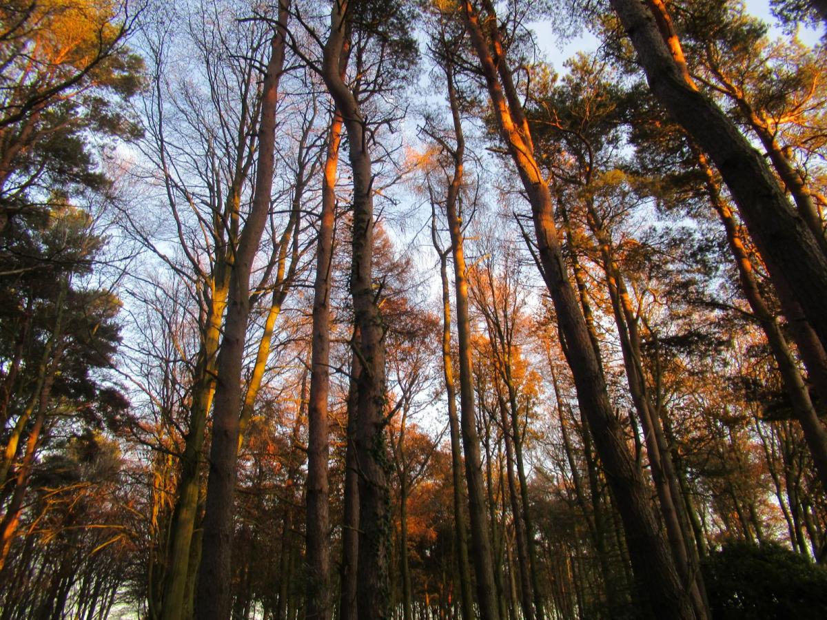 A quieter and drier weekend - Good news for the ongoing Storm Goretti recovery