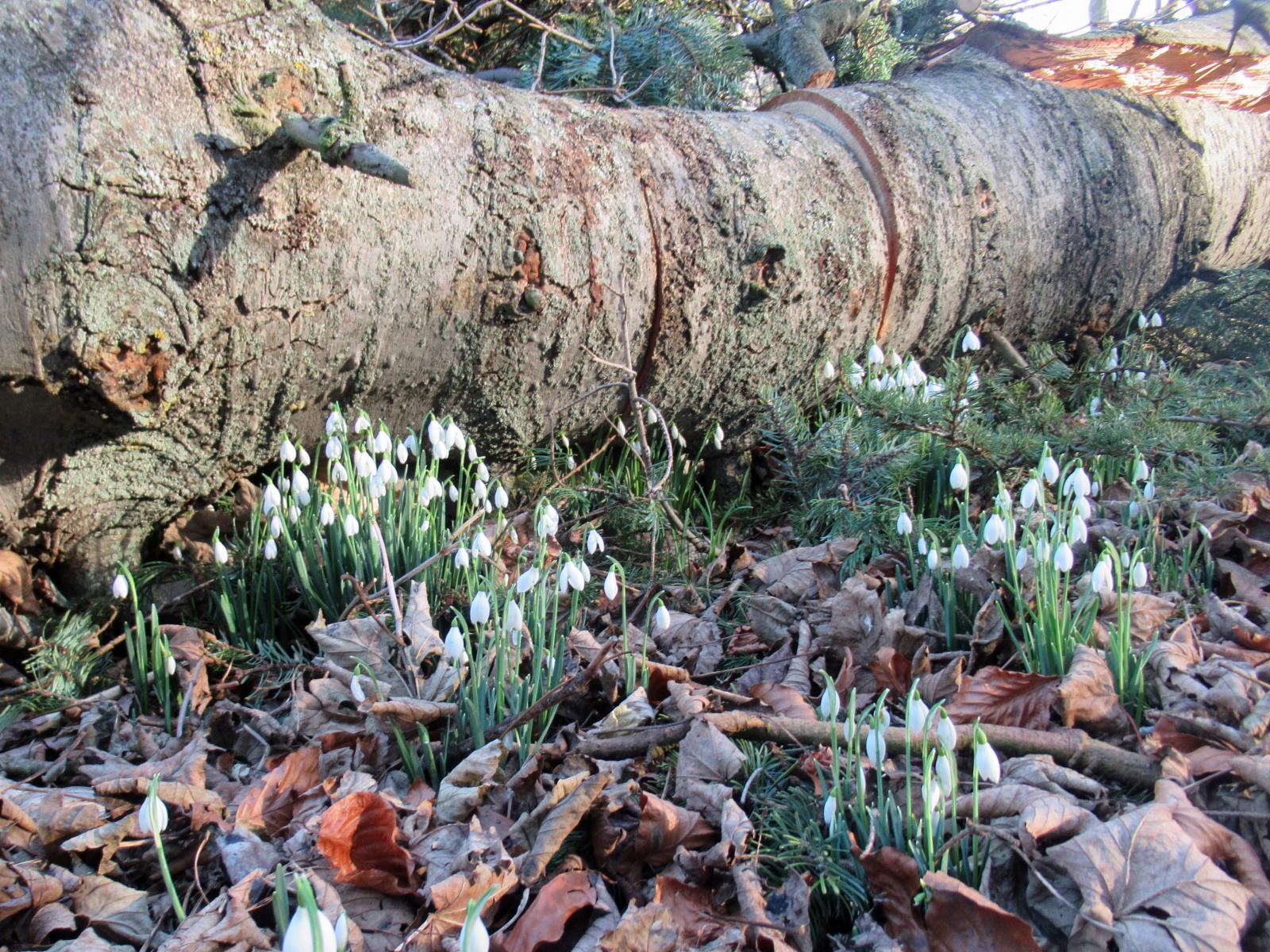 A change in the weather, finally, with brightness for Half Term