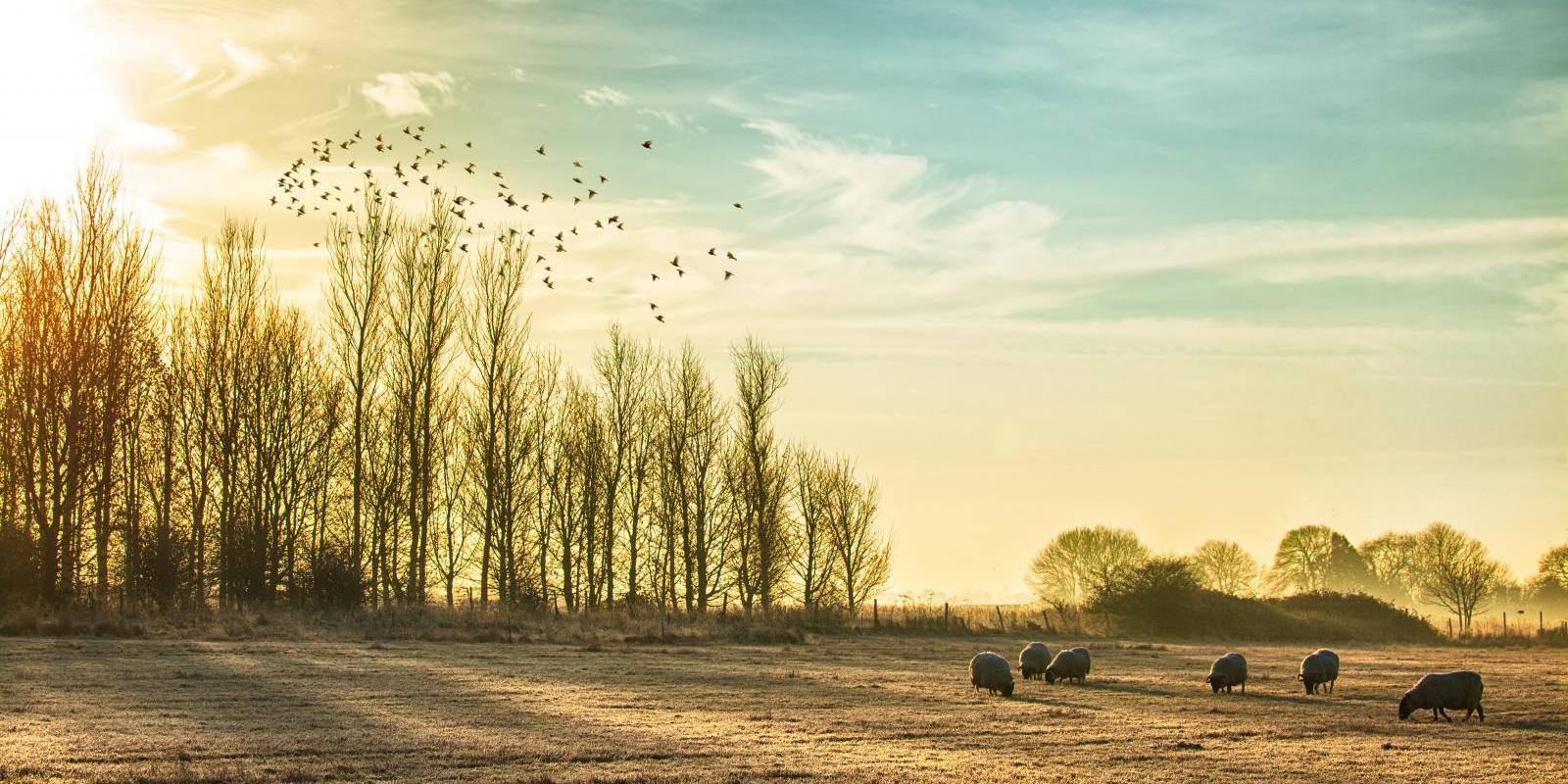 Battleground between Atlantic lows and cold block from the east next week