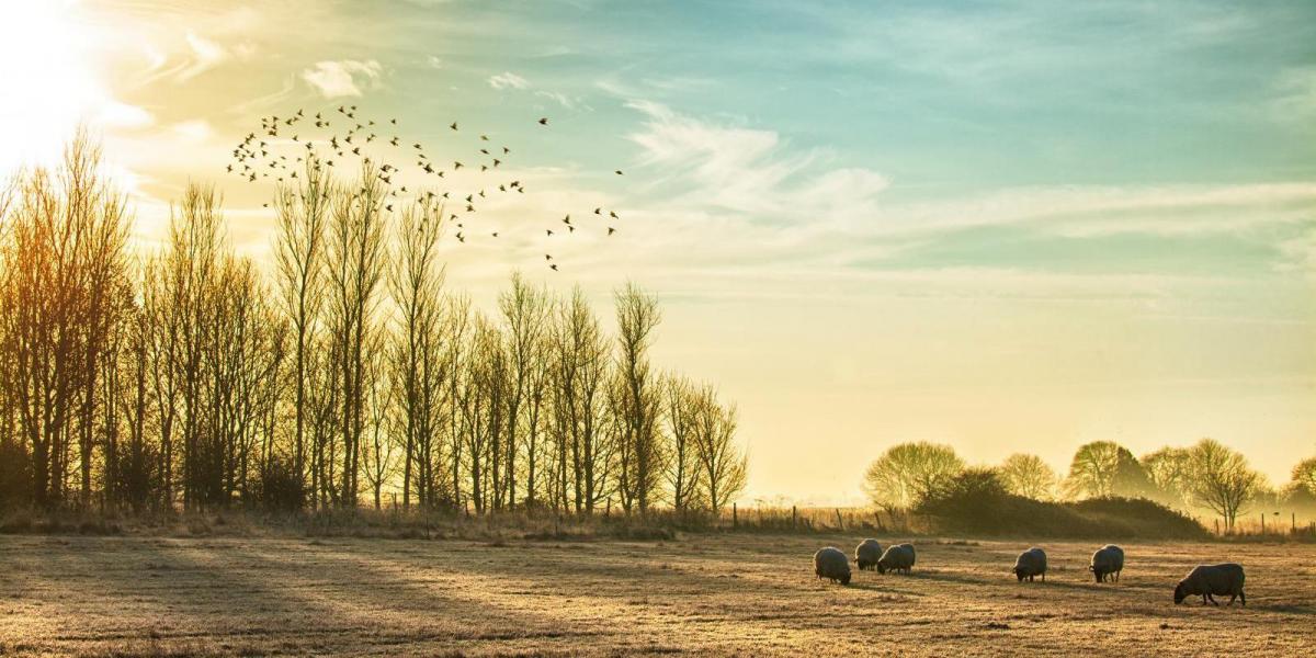Battleground between Atlantic lows and cold block from the east next week