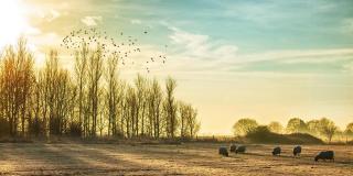 Battleground between Atlantic lows and cold block from the east next week