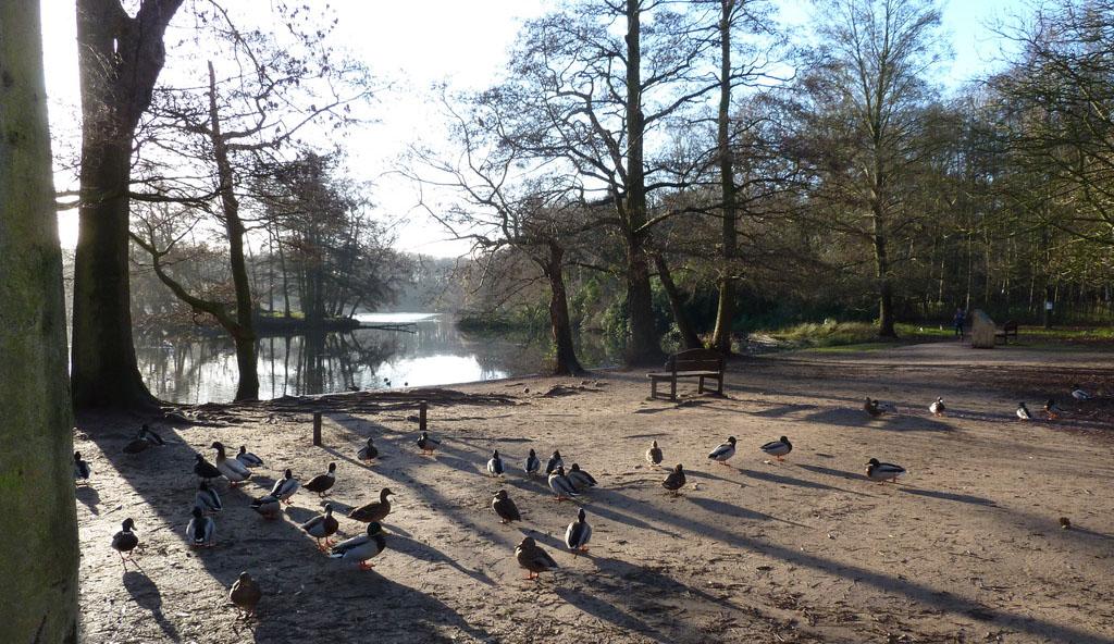 UK Weather: Cloudy End To Week, Milder & Windier With Some Rain This Weekend