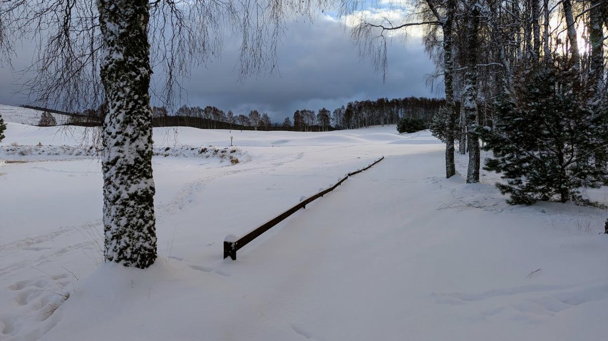 Wintry start with the wishbone effect; Gradual transition to milder conditions; Snowy Januaries from the 1970s to 2020s